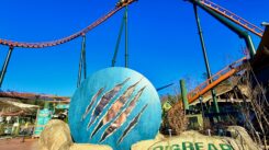 Big Bear Mountain Rollercoaster Dollywood Attraction