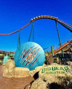 Big Bear Mountain Rollercoaster Dollywood Attraction