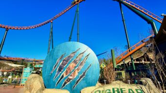 Big Bear Mountain Rollercoaster Dollywood Attraction