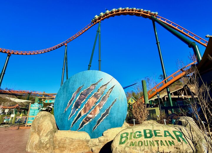 Big Bear Mountain Rollercoaster Dollywood Attraction