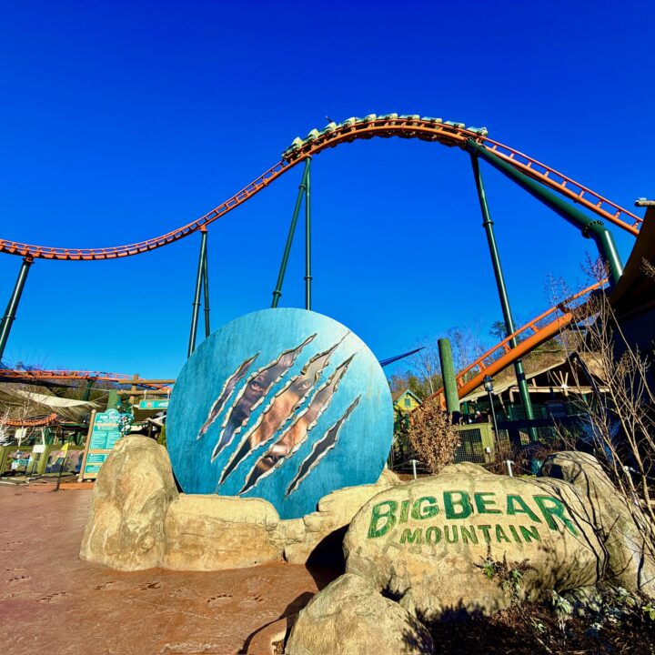 Big Bear Mountain Rollercoaster Dollywood Attraction
