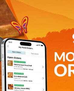 Dollywood Mobile Food Ordering Header Image with image of an mobile phone screen and rice dish