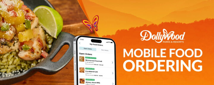 Dollywood Mobile Food Ordering Header Image with image of an mobile phone screen and rice dish
