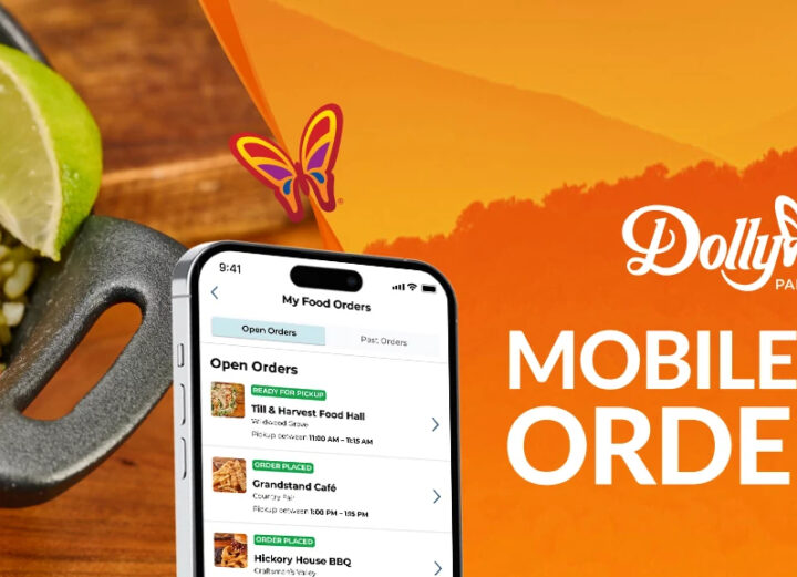 Dollywood Mobile Food Ordering Header Image with image of an mobile phone screen and rice dish