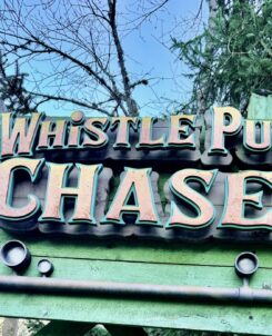 Whistle Punk Chaser Dollywood Attraction