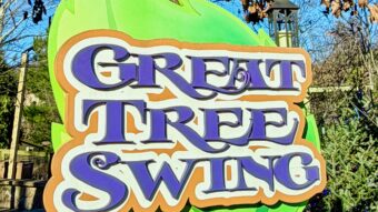 Great Tree Swing Dollywood Attraction