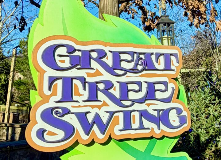 Great Tree Swing Dollywood Attraction