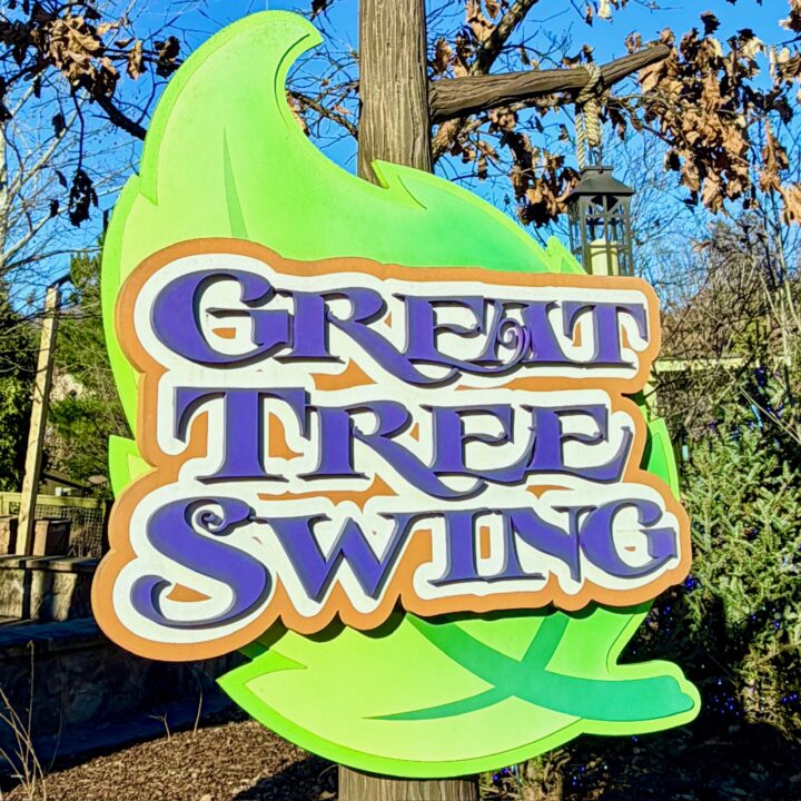 Great Tree Swing Dollywood Attraction