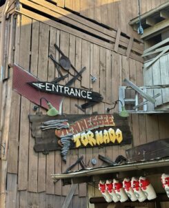 Tennessee Tornado Rollercoaster Dollywood Attraction
