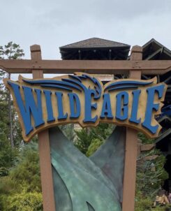 Wild Eagle Rollercoaster Dollywood Attraction