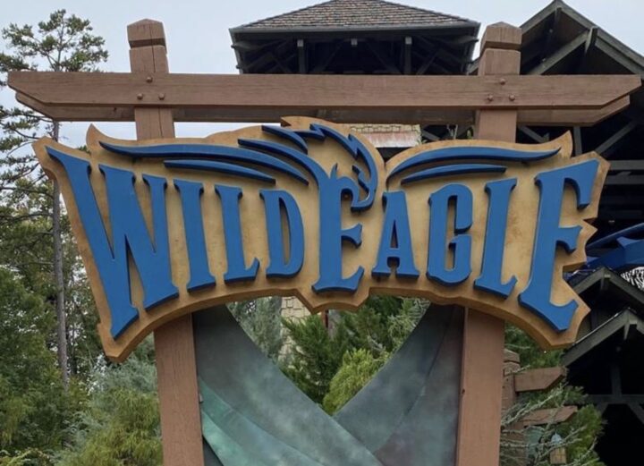 Wild Eagle Rollercoaster Dollywood Attraction