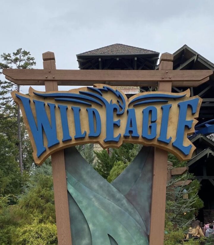 Wild Eagle Rollercoaster Dollywood Attraction