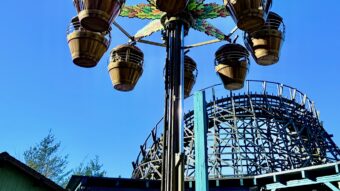 Treetop Tower Dollywood Attraction