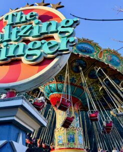 The Waltzing Swinger Dollywood Attraction