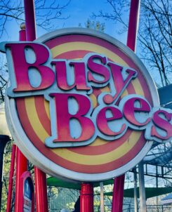 Busy Bees Dollywood Attraction