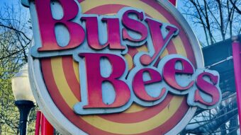 Busy Bees Dollywood Attraction