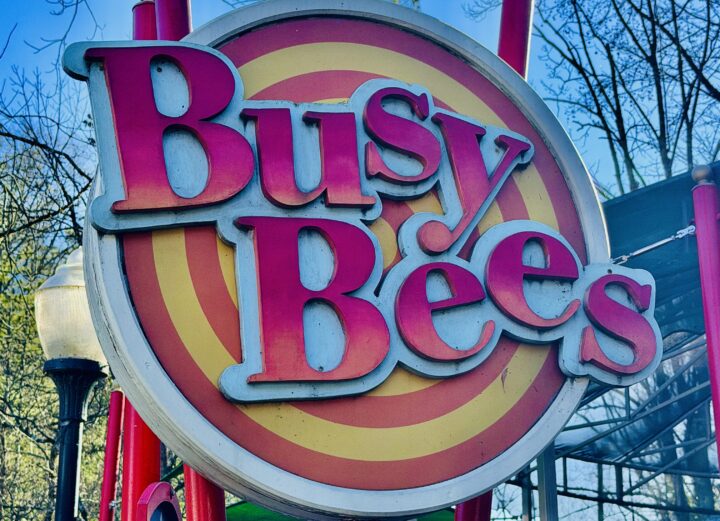 Busy Bees Dollywood Attraction