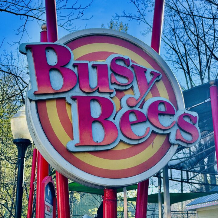 Busy Bees Dollywood Attraction