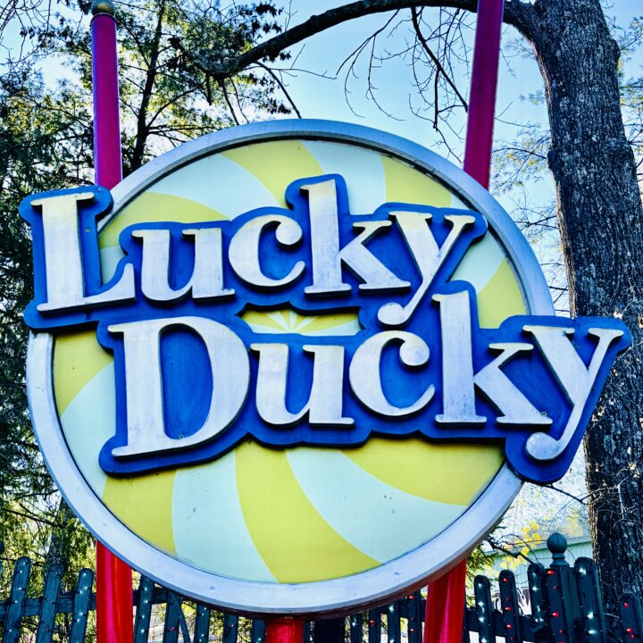 Lucky Ducky Dollywood Attraction