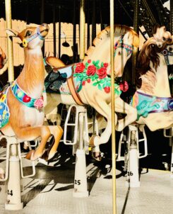 Village Carousel Dollywood Attraction