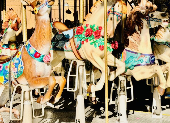 Village Carousel Dollywood Attraction