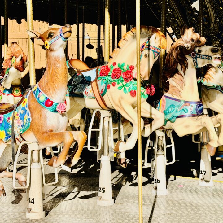Village Carousel Dollywood Attraction