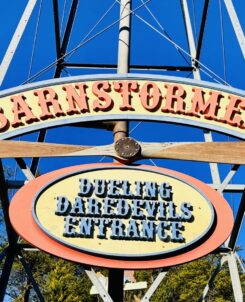 Barnstormer Dollywood Attraction