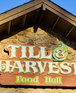 Till Harvest Food Hall Dollywood Restaurant