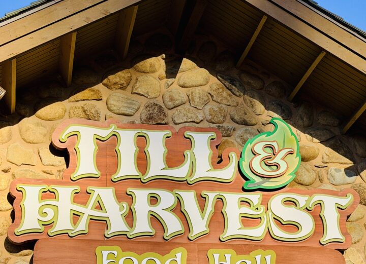 Till Harvest Food Hall Dollywood Restaurant