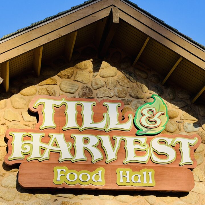 Till Harvest Food Hall Dollywood Restaurant