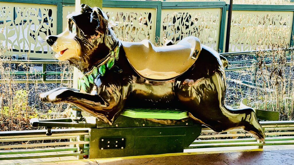 Black Bear Trail at Dollywood | Family Ride in Wildwood Grove