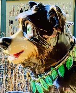 Black Bear Trail Dollywood Attraction