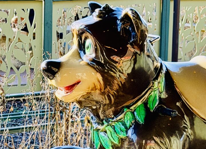Black Bear Trail Dollywood Attraction
