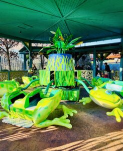Frogs and Fireflies Dollywood Attraction