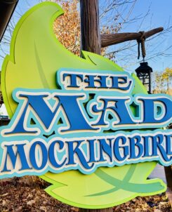 The Mad Mockingbird Dollywood Attraction