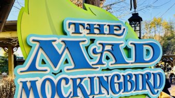 The Mad Mockingbird Dollywood Attraction
