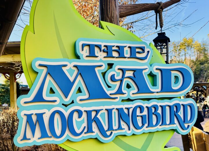 The Mad Mockingbird Dollywood Attraction