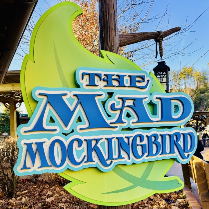 The Mad Mockingbird Dollywood Attraction