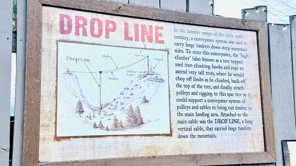 Drop Line | 20-Story Drop Tower Thrill Ride at Dollywood