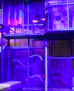 Hidden Hollow is an indoor play area in the Wildwood Grove area of Dollywood for little explorers